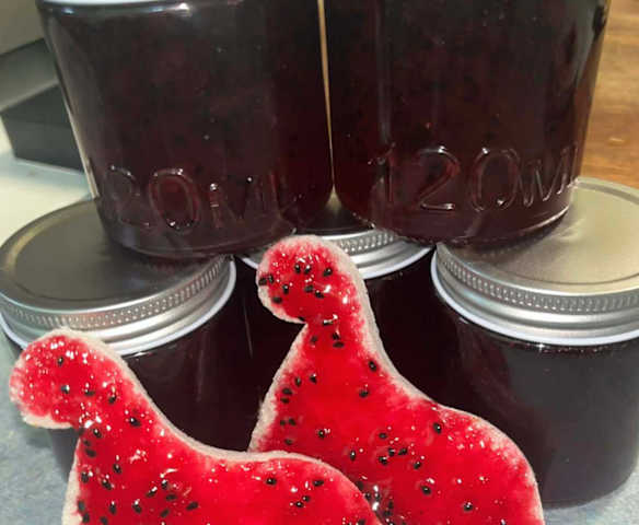 Dragon Fruit Jam