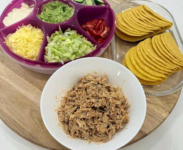 Thermiegal Shredded Mexican Chicken