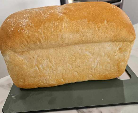 Thermomumma white sandwich bread loaf- with yeast activated