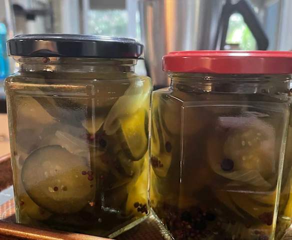 Bread & Butter Cucumbers (TM6)