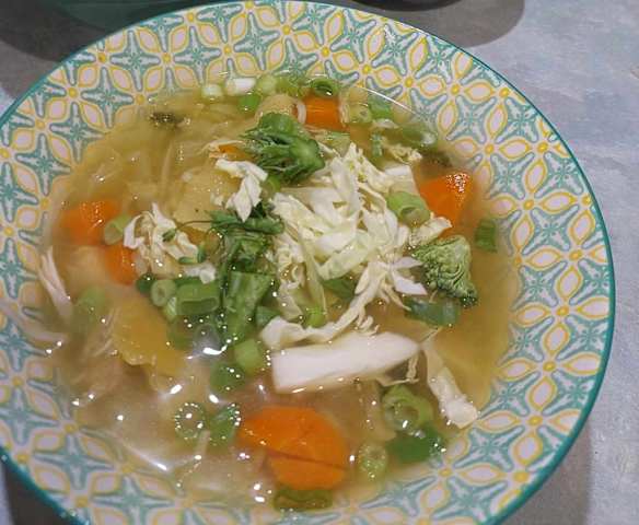 Healthy  Chicken and  Vegetable  Soup