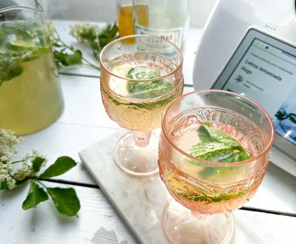 Letnia lemoniada Hugo