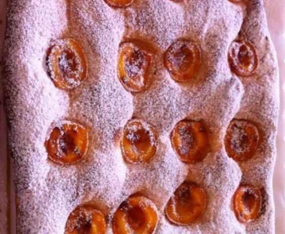 COCA TOVADA D ALBERCOCS ( albaricoques)
