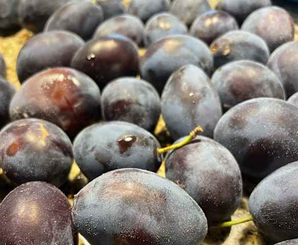 Švestková povidla s balsamicem