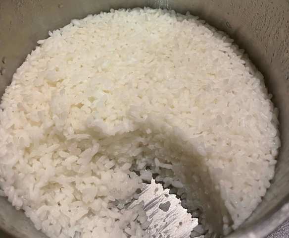Thermoserver Rice 4-6 persons