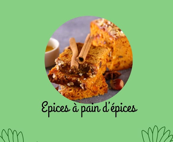 Mélange d épices à pain d épice