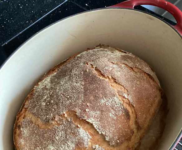 Friss dich dumm Brot