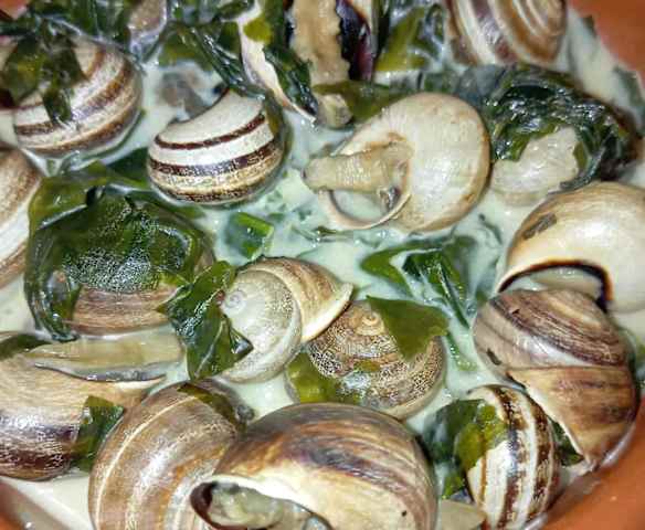 Caracoles DETOX con guarnición (UN PLATO SACIANTE Y SALUDABLE)