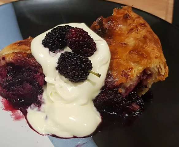 Mulberry Pie*